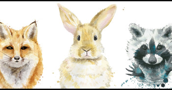 A colorful watercolor of the faces of a fox, rabbit, and raccoon facing forward against a white background.