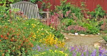 Pretty and colorful native plant garden with gray, wooden bench.