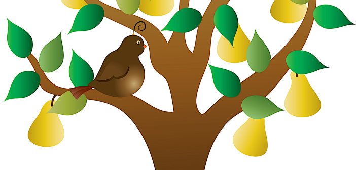 Color illustration of a stylized tree with yellow pears and green leaves and a brown partridge perched on a limb.