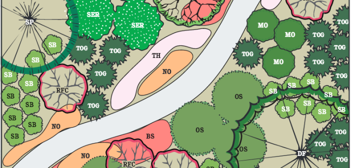 Colorful landscape design.