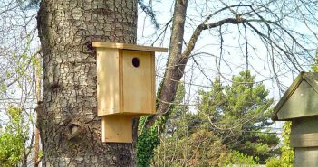 Newly built birdhouse mounted on a tree trunk.