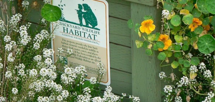 Sign on a fence denoting that what lies beyond is land for a wildlife habitat.