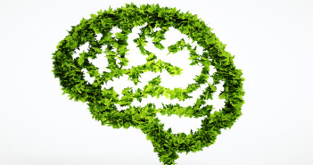 An illustration of a human brain using green plant leaves to lay out its design.