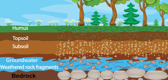 A colorful illustration shows the layers of soil from humus down to bedrock.